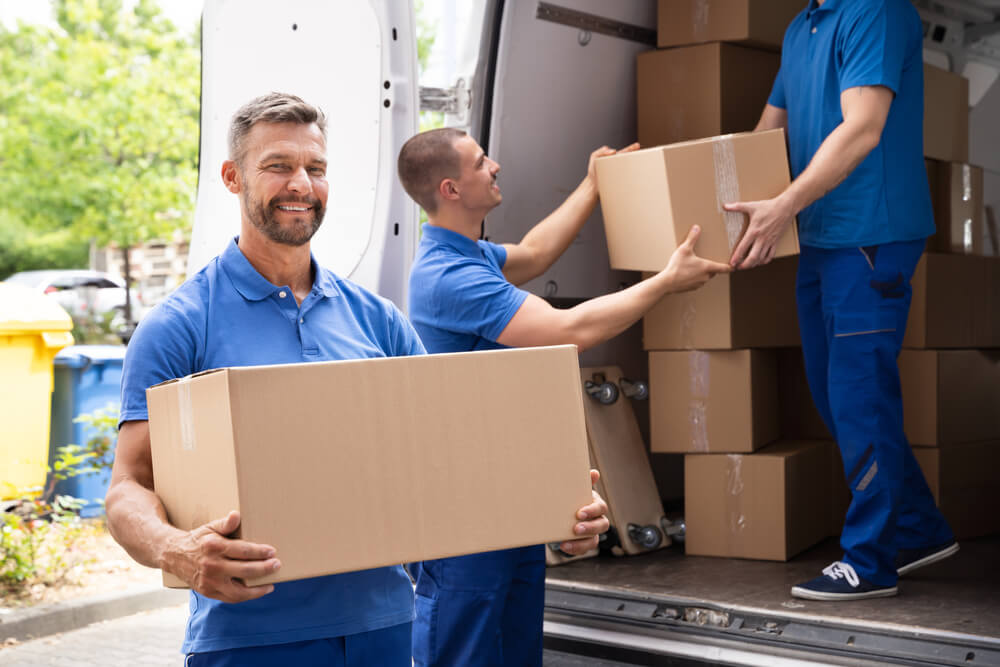 Packing And Moving Services